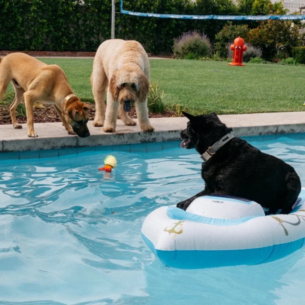 LAST ONE! Bark Box Super Chewer XL DOG raft pool float NEW YACHT Boat TOUGH!